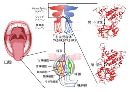 實松敬介先生