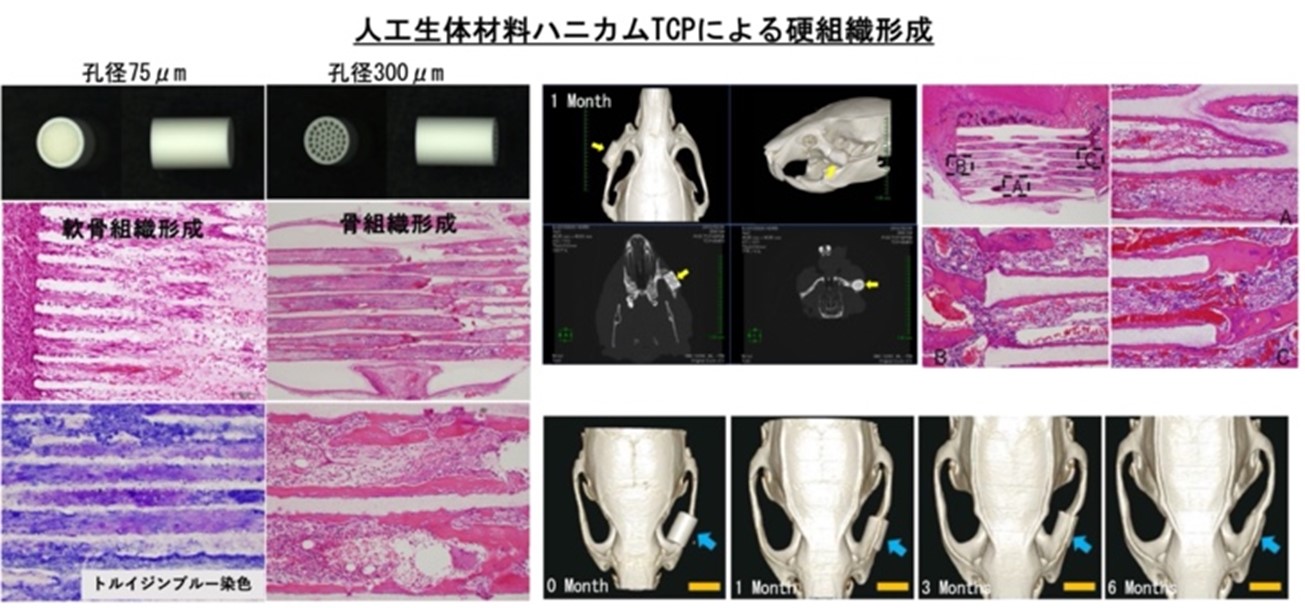 高畠清文先生図1