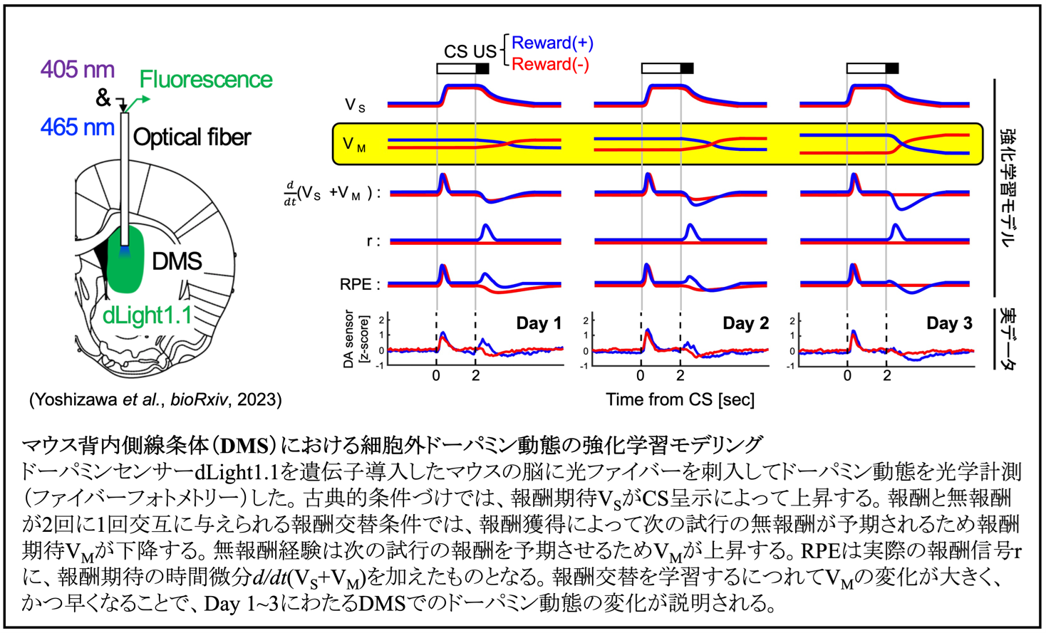 吉澤知彦先生図1