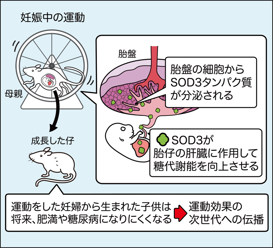 楠山譲二先生図1