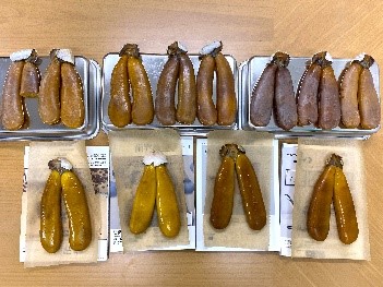 中谷有香先生図2