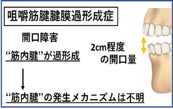 山本将仁先生図2