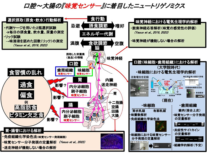 安尾敏明先生